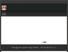 Tablet Screenshot of cocker.elevage-acs.fr